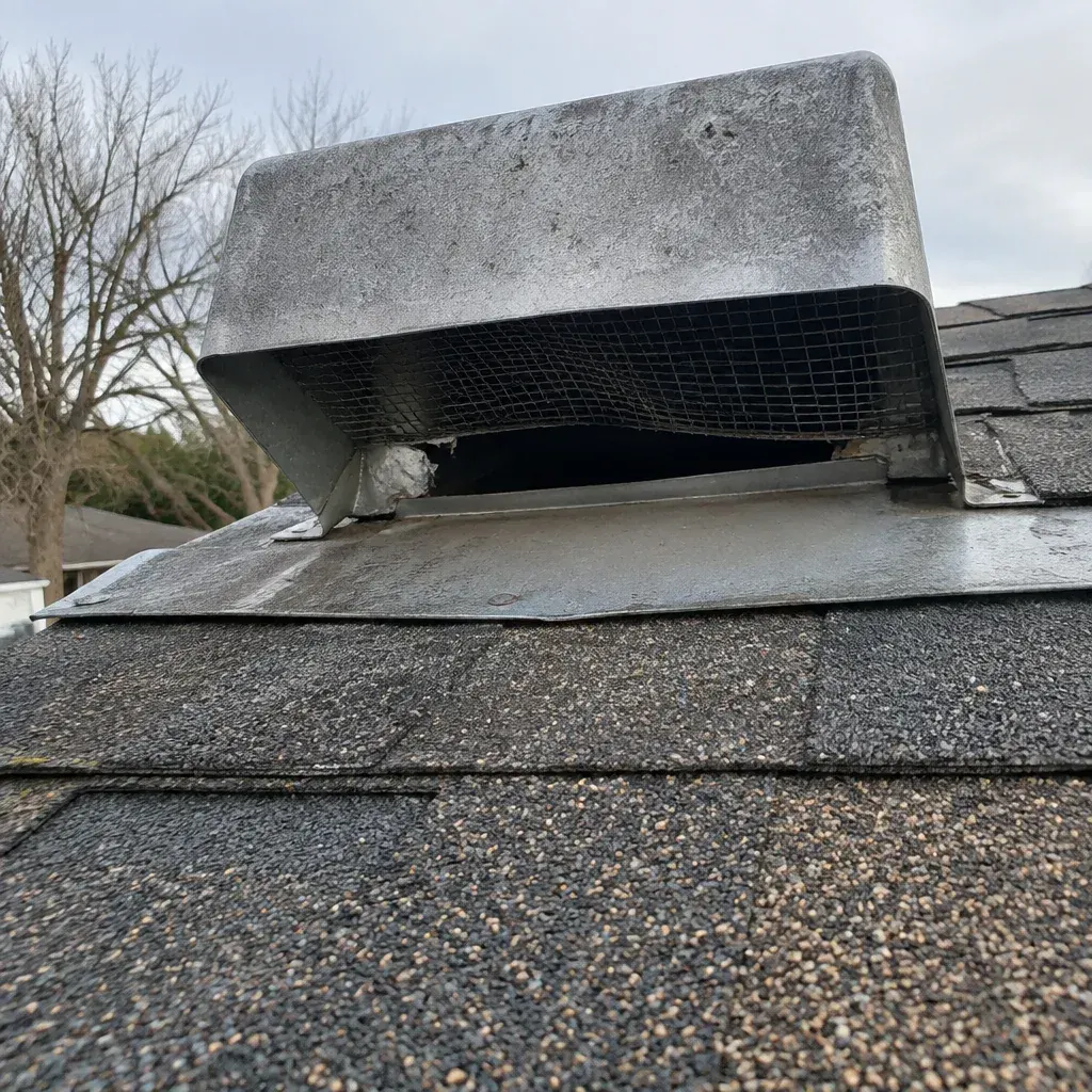 Rodent Trapping service in Lee's Summit, MO